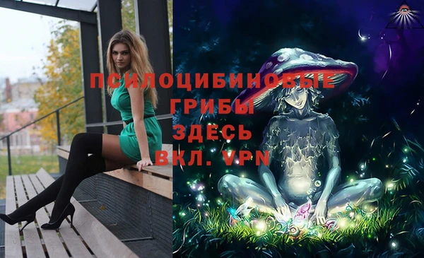 бошки Осташков