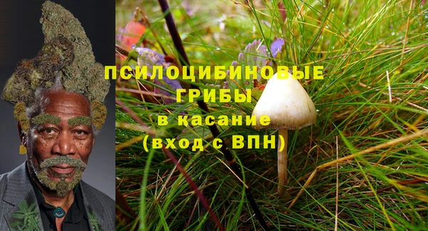 бошки Осташков