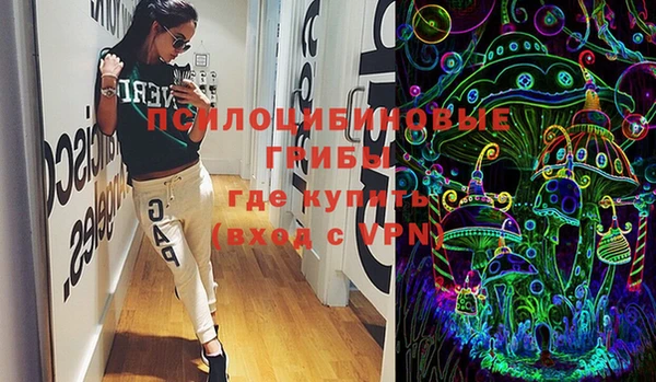 PSILOCYBIN Остров