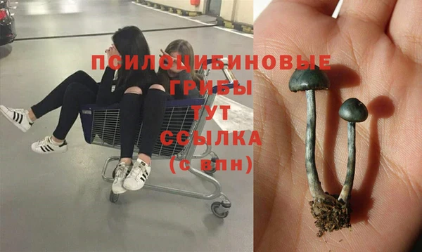 apvp Переславль-Залесский