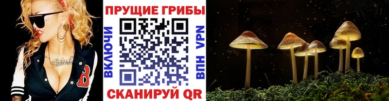 Псилоцибиновые грибы MAGIC MUSHROOMS где купить Костомукша
