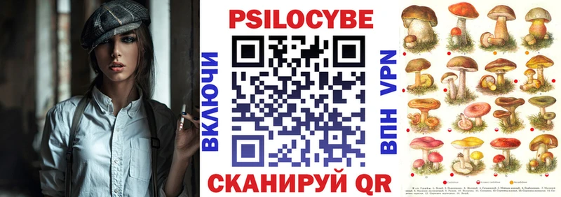 Галлюциногенные грибы Psilocybine cubensis Костомукша